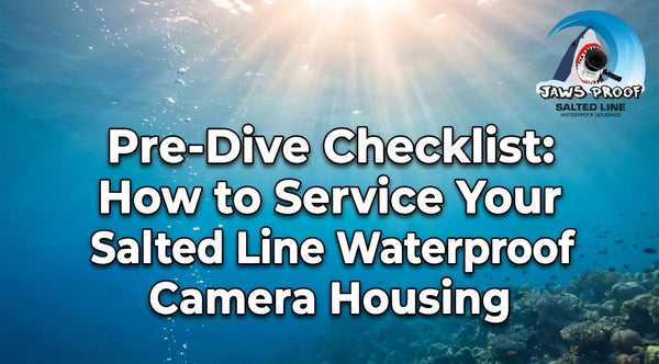 Pre-Dive Checklist: How to Service Your Salted Line Camera Housing ...