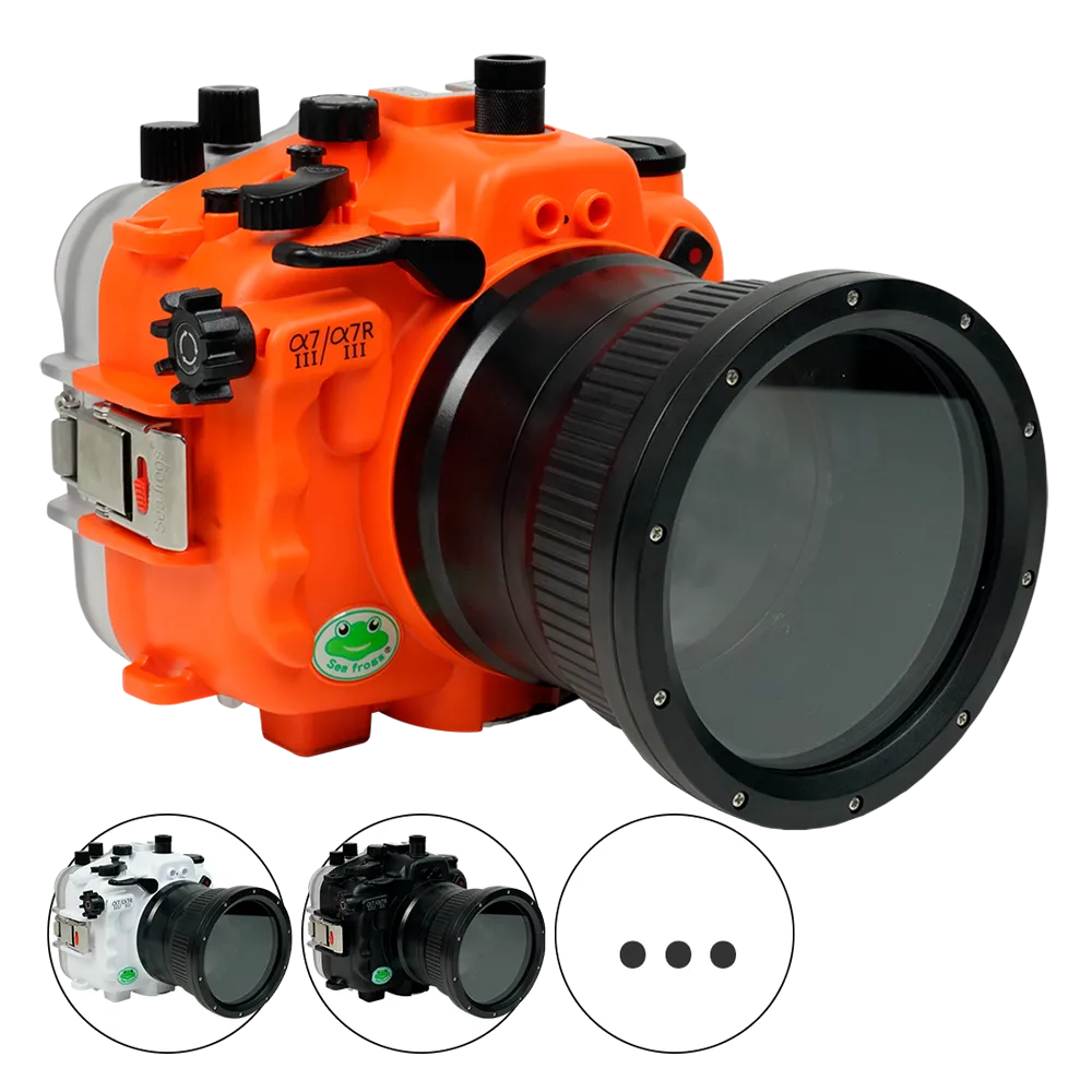 Another Water: The  Thames, for　sa2 Sea Frogs SALTED LINE Underwater Housing for Sony A7III