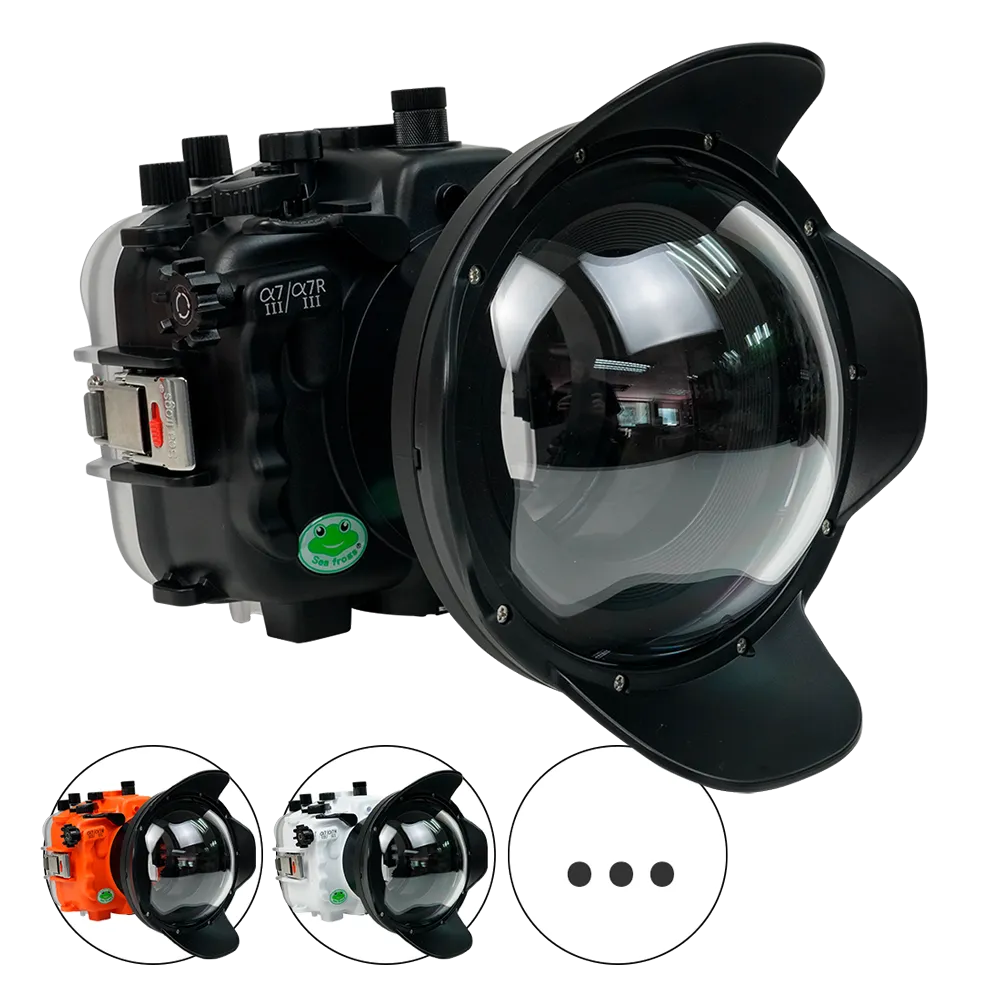 Another Water: The  Thames, for　sa2 Sea Frogs SALTED LINE Underwater Housing for Sony A7III