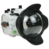 [a7iv-v10-dp90a6] Salted Line Sea Frogs Underwater Camera Housing for Sony A7IV with V10 Dome Port