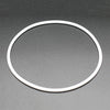 A6xxx Salted Line secondary O-ring (Backplate)