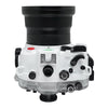 Sony A7R IV 40M/130FT Underwater camera housing