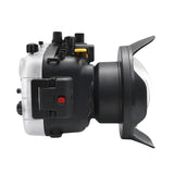Panasonic Lumix GH5 & GH5 S & GH5 II 40m/130ft Underwater Camera Housing with Optical Glass Dry Dome port